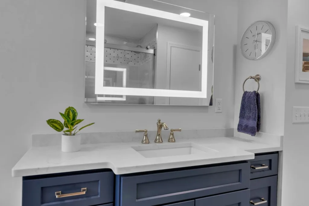 Ebling Bathroom in Buffalo